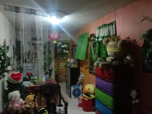 59930 — House and Lot in Purok Butterfly, Babag 1, Lapu-Lapu City — Photo 5