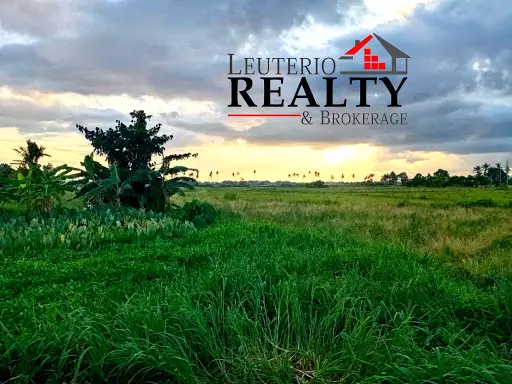 Farm Lot — Agricultural Lot in Naga, Camarines Sur, Philippines — Photo 4