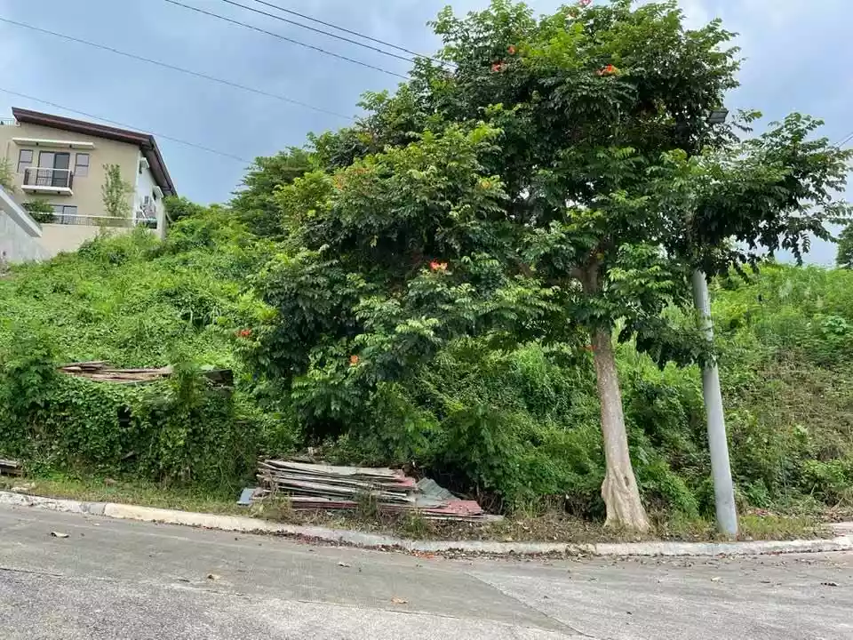 KISHANTA LOT ONLY — Residential Lot in Antuwanga, Talisay, Cebu — Photo 5