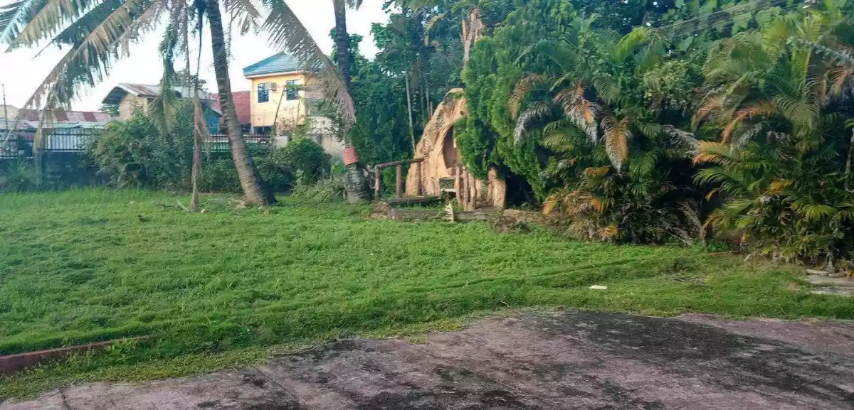 Yati Lilon House and Lot for Sale with POOL - photo 4