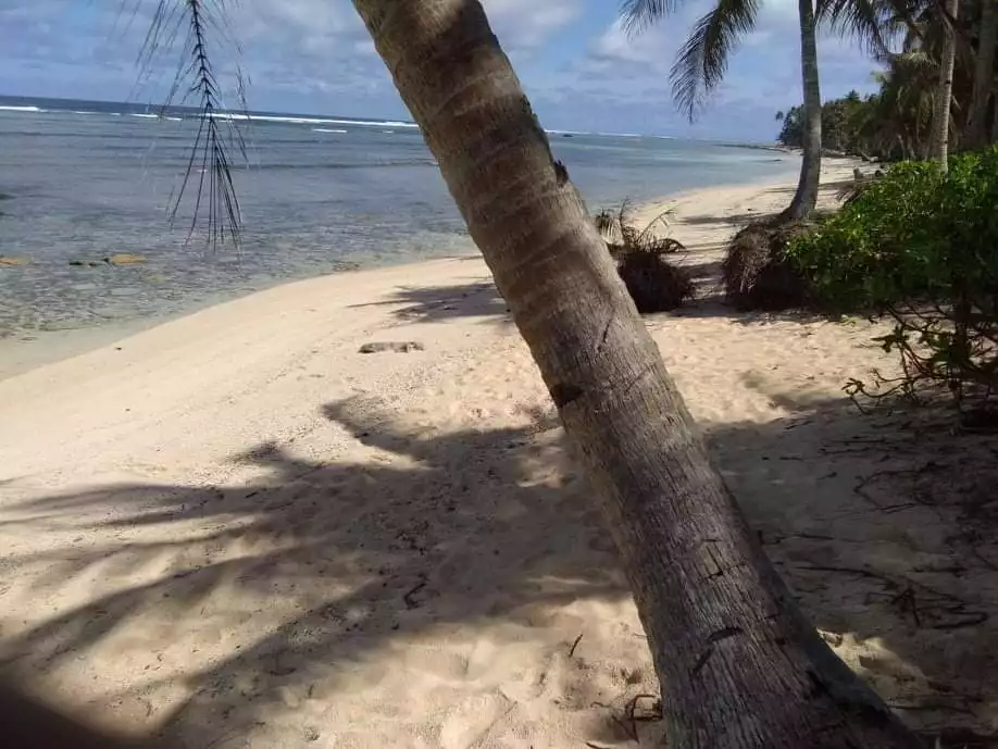 Beach Lot For Sale Sta. Monica, Siargao  - photo 6