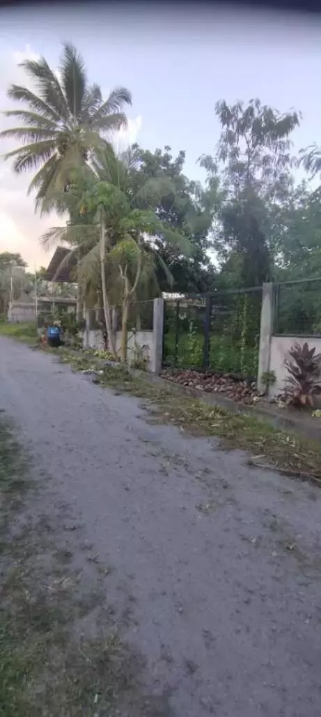 For Sale: 600 sqm Lot in Brgy. Pag Asa, Cannery Polomolok, South Cotabato – Ideal for Home Build — Residential Lot in Cannery Site, Polomolok, South Cotabato — Photo 6