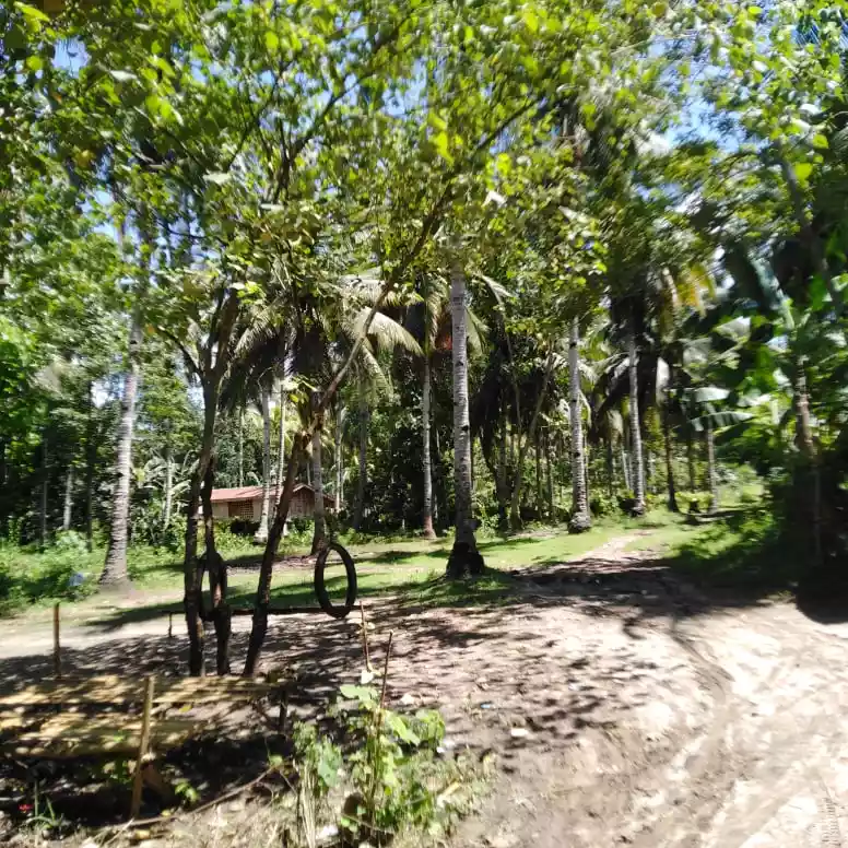 Lot in Toril, Samal - photo 3