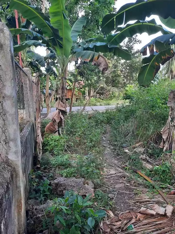 LOT for sale - photo 5