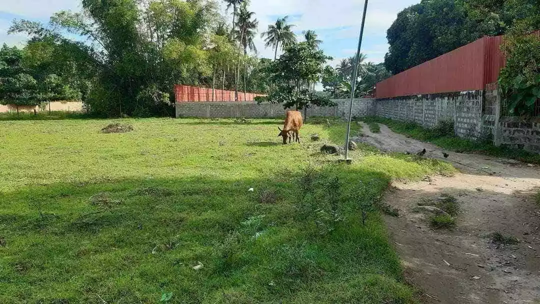 Bacagay, Dumaguete City — Agricultural Lot in Dumaguete, Negros Oriental, Philippines — Photo 3
