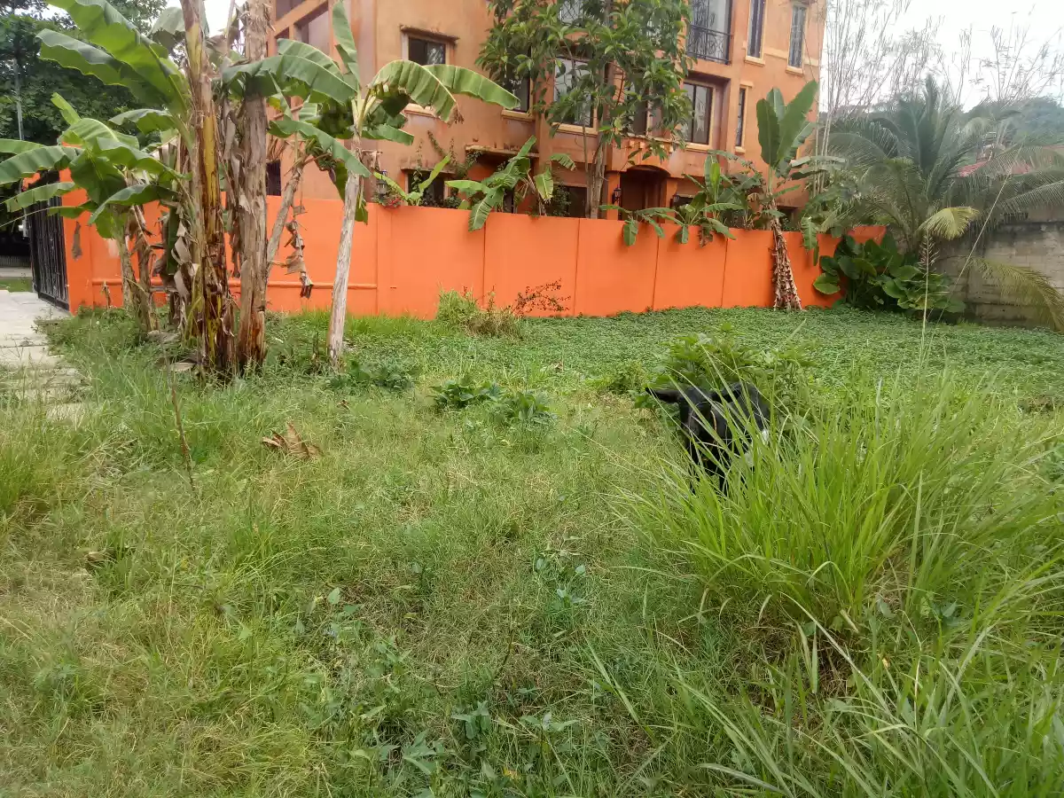 Lot for Sale in Talamban - photo 7