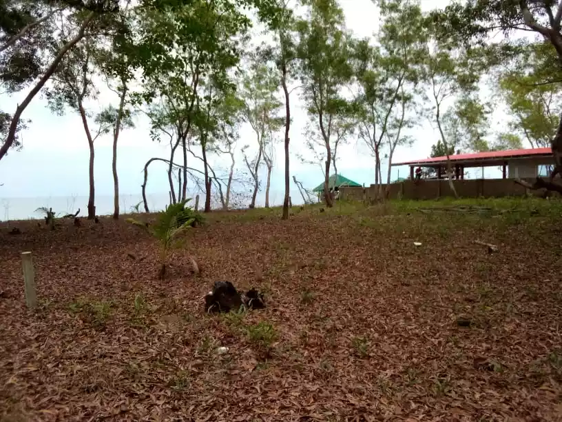 Sipalay City Beach Lot — Beach Lot in Sipalay, Negros Occidental, Philippines — Photo 5