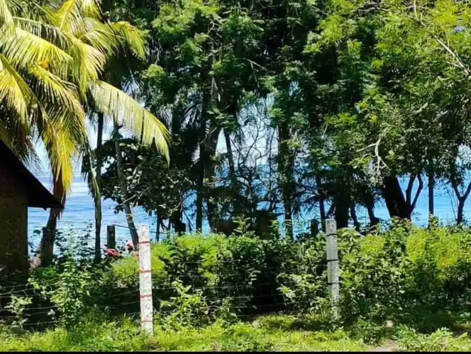 Maayong tubig Dauin beach property - photo 4