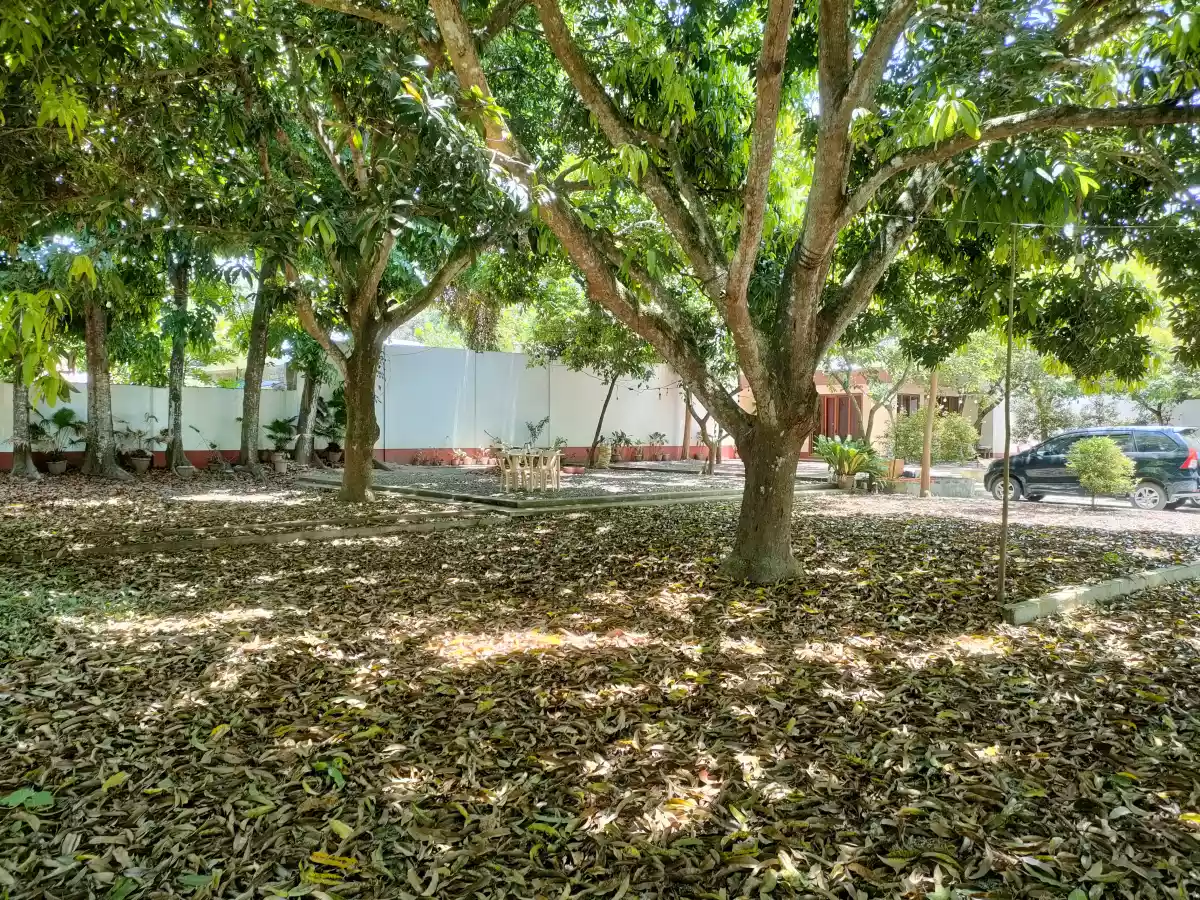 Lot for Sale with Bachelors Pad in Talay Dumaguete City — Residential Lot in Dumaguete, Negros Oriental, Philippines — Photo 5