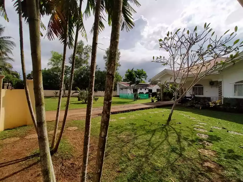 5 Bedrooms 5 toilet and bath with Swimming pool in Dao Dauis Panglao Island Bohol - photo 6