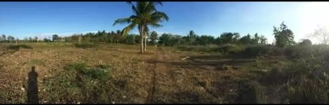 Agri lot for sale - photo 5