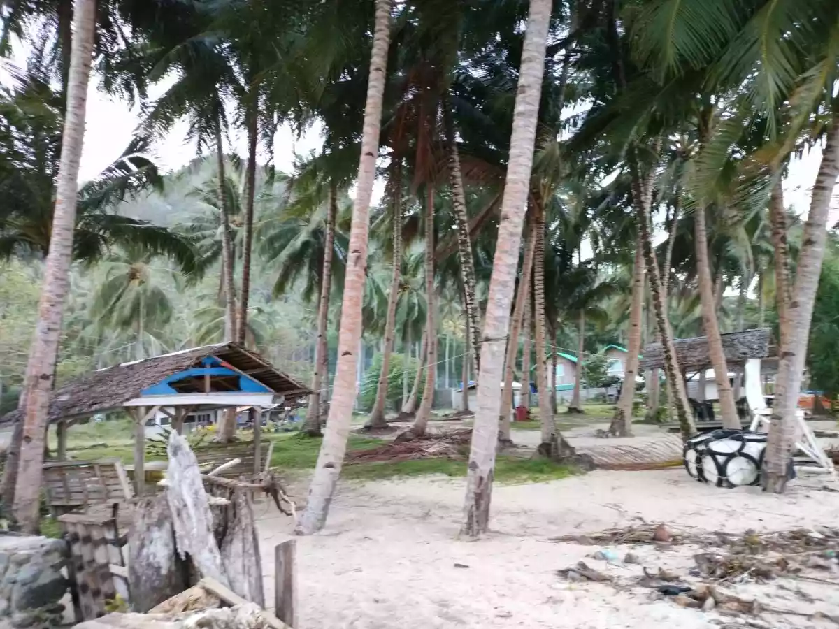 Prestine Beach Lot For Sale with shoreline - photo 7