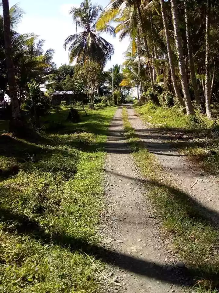 For sale beach Lot in Sarangani — Beach Lot in Sarangani, Philippines — Photo 5