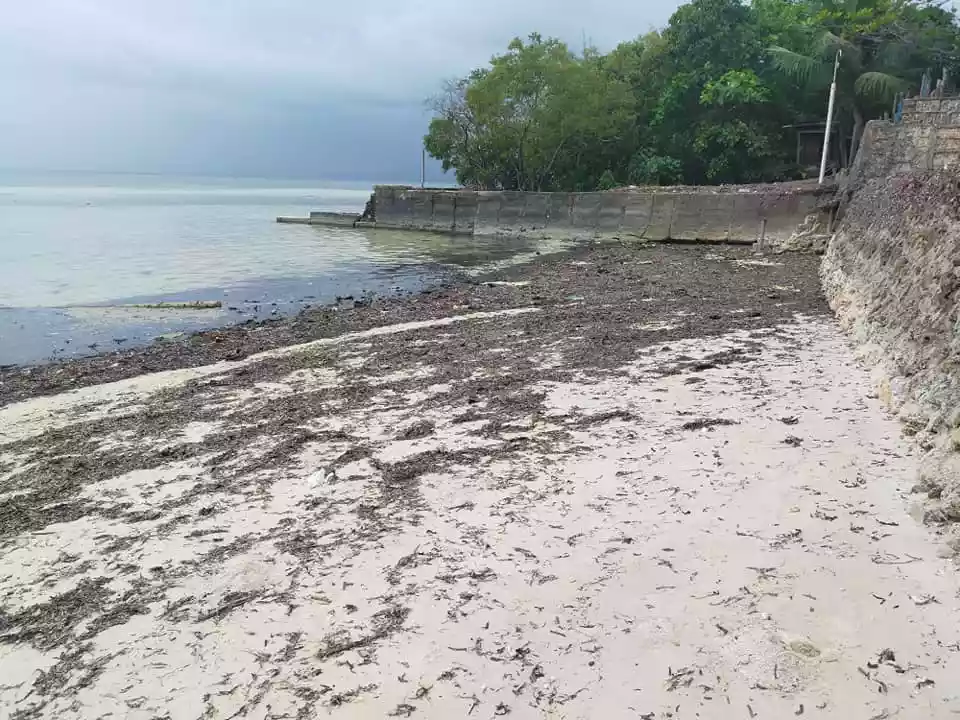 390sqm beachfront clean title lot with white sand for sale in Poblacion Baclayon Bohol - photo 2