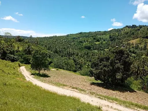 Open photo 15 of 27 — Very rush sale farm lot