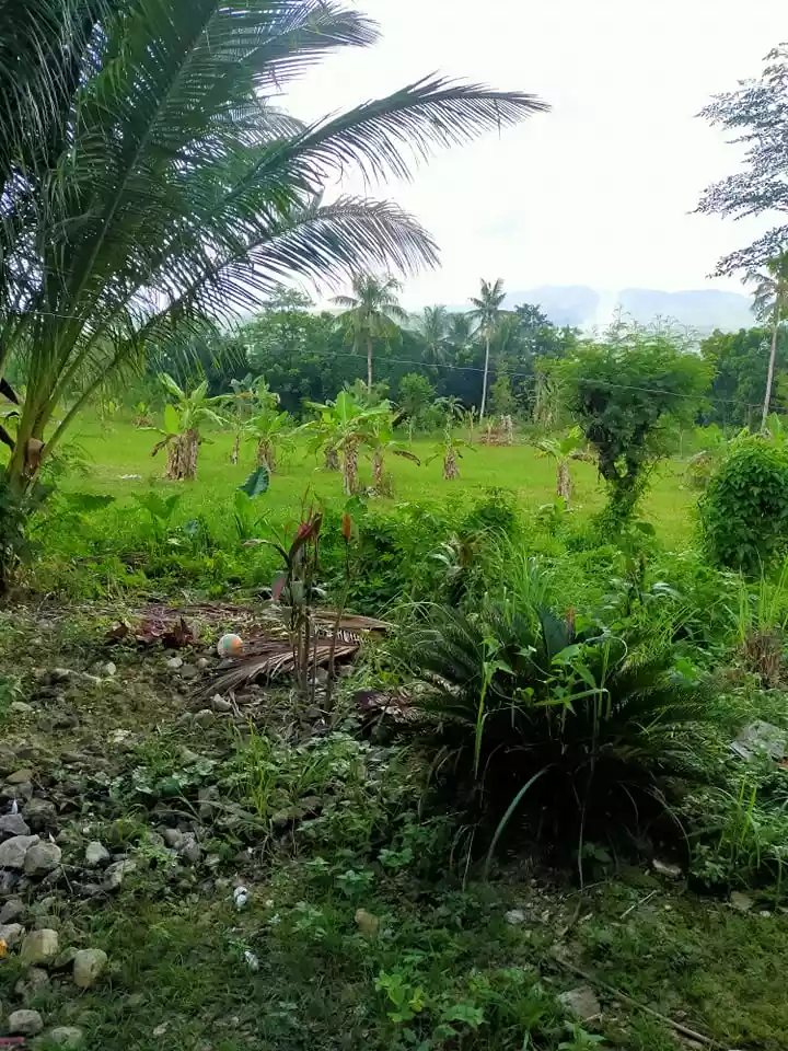 NEAR GRANDMALL CARCAR COMMERCIAL/RESIDENTIAL LOT — Commercial Lot in Carcar City, Cebu, Philippines — Photo 3
