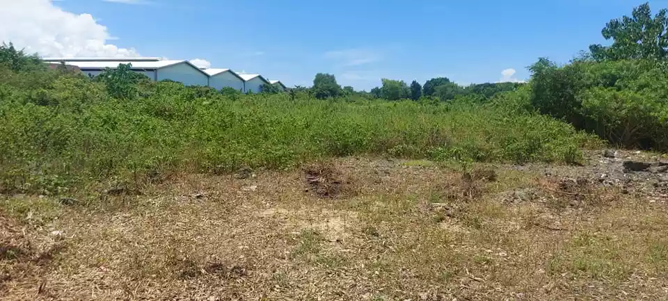 COMMERCIAL PROPERTY FOR SALE - Agus, Mactan - photo 5