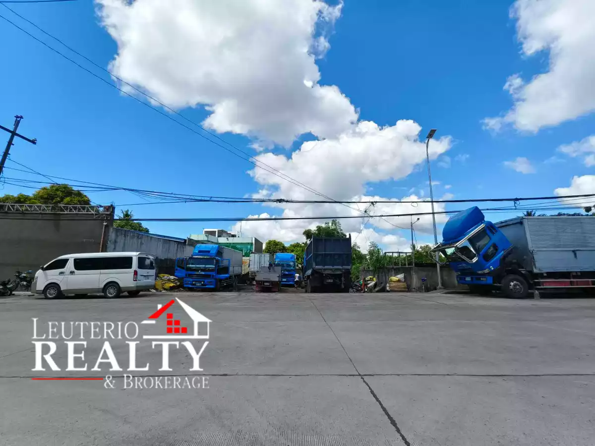 For Sale Lot - Del Rosario — Agricultural Lot in Naga, Camarines Sur, Philippines — Photo 2