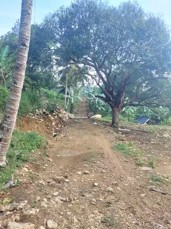 4000 sqm LOT IN BABAG 2, CEBU CITY  - photo 2