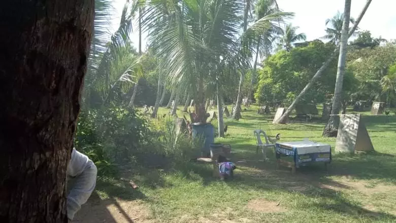 Lot for sale - photo 3
