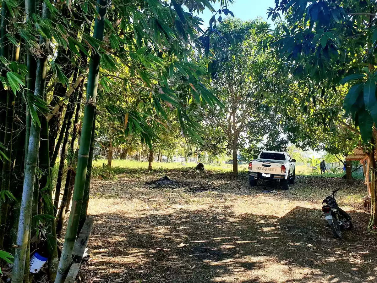Can-asujan, Carcar LOT FOR SALE — Residential Lot in Carcar City, Cebu, Philippines — Photo 6
