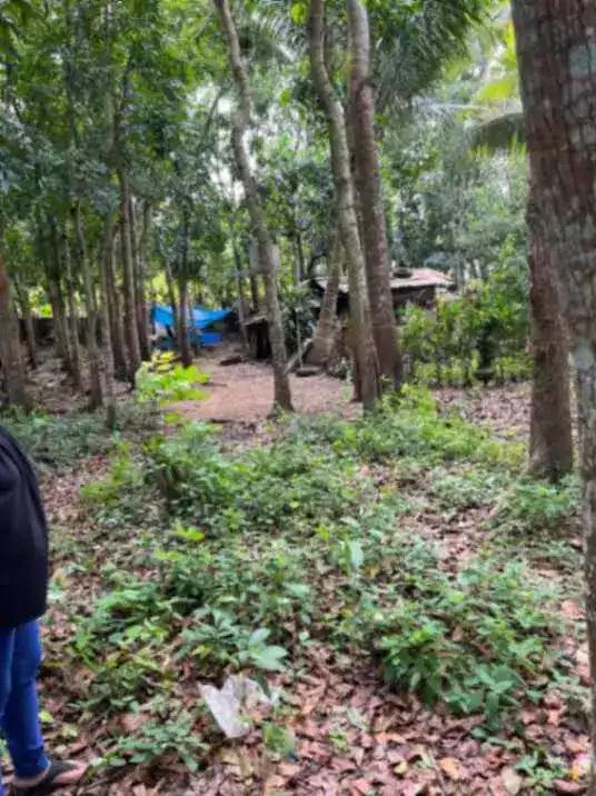 For Sale: Agricultural Lot in Lalaan I, Silang — 1,000 sqm — Agricultural Lot in Silang, Cavite, 4118 — Photo 5