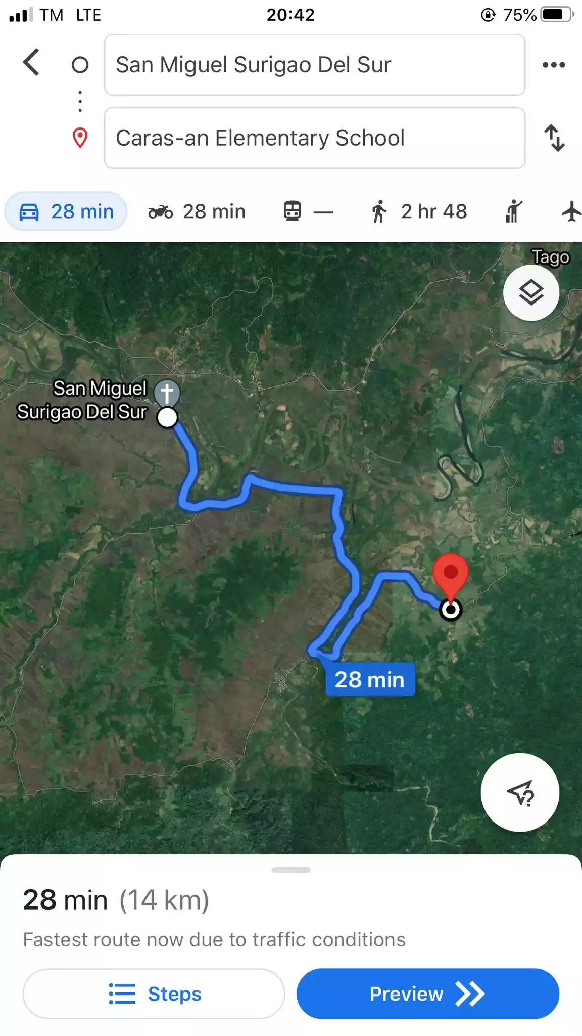 Rice Field for Sale — Agricultural Lot in Surigao del Sur, Philippines — Photo 4