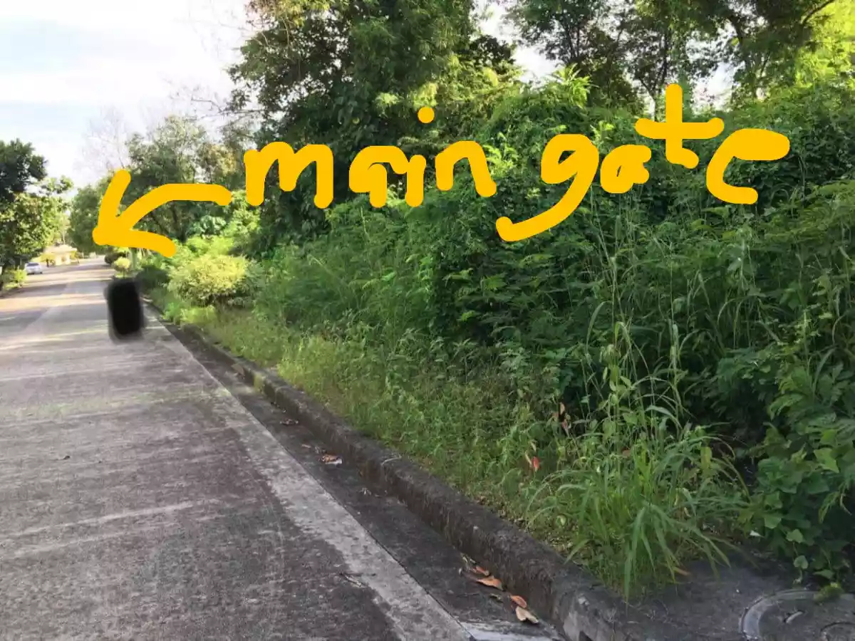 FOR SALE: 319SQM Residential Lot in The Heritage (Maria Luisa North) - photo 2