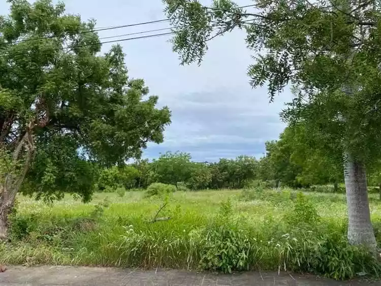 Vista Mar Lot For Sale  - photo 6