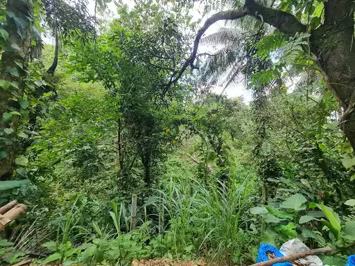 Open photo 13 of 13 — Lot for Sale 