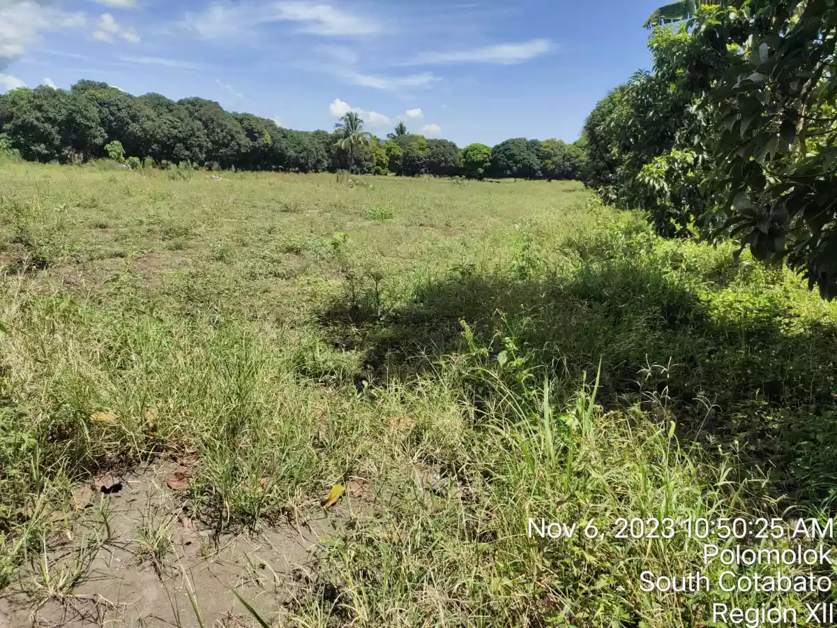 Agricultural Lot Situated at Silway 7, Polomolok, South Cotabato — Agricultural Lot in South Cotabato, Philippines — Photo 5