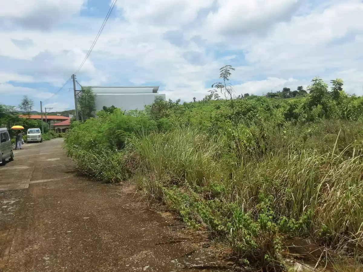 Lot for sale inside subdivision  - photo 5