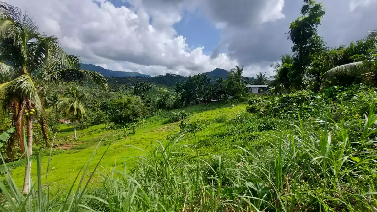 Agri lot for sale - photo 2
