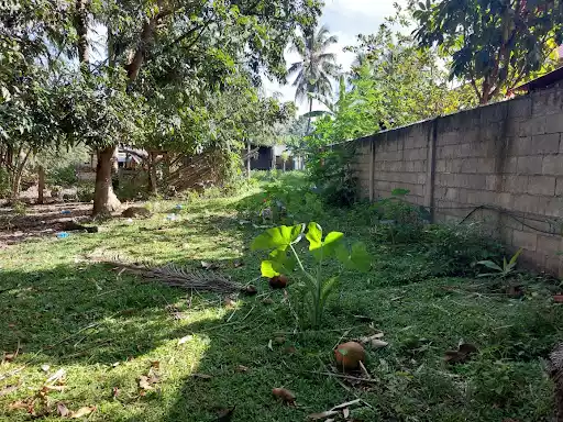 Rush Sale Lot in Dumaguete — Agricultural Lot in Albina Dr, Dumaguete, Negros Oriental — Photo 6