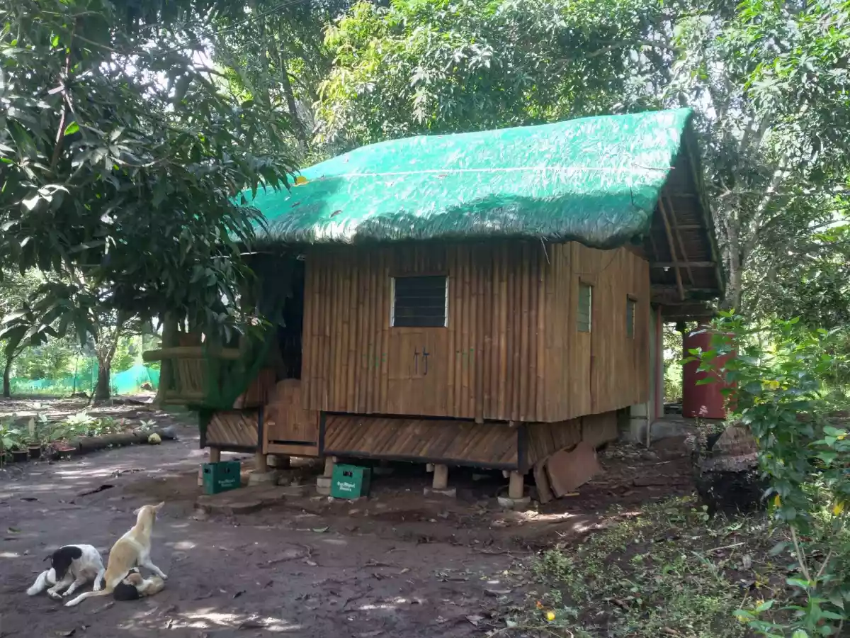 Farm Lot For Sale... - photo 6