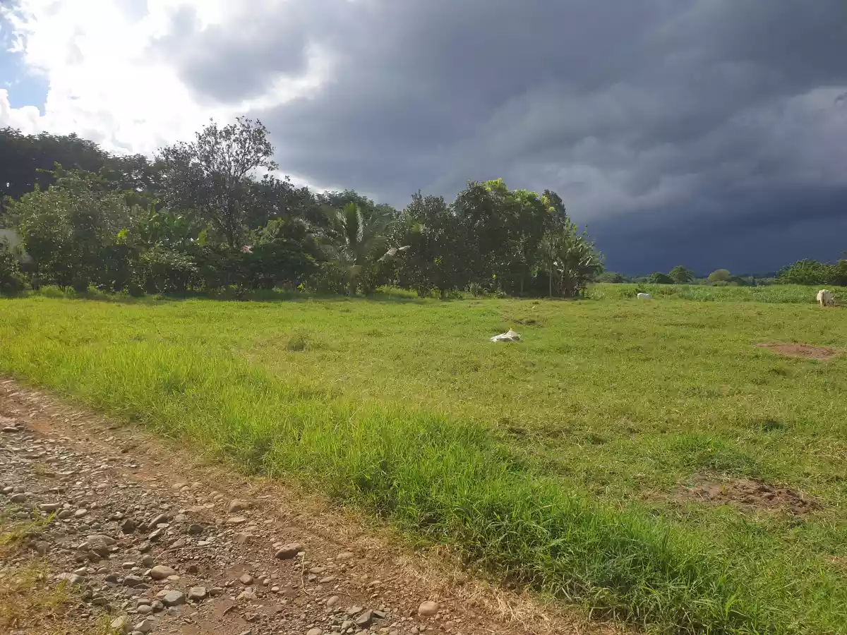 FARM LOT FOR SALE AT CASISANG MALAYBALAY CITY BUKIDNON — Agricultural Lot in Malaybalay, Bukidnon, Philippines — Photo 6