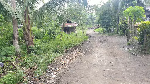 Lot Only — Agricultural Lot in Butuan City, Agusan Del Norte, Philippines — Photo 3