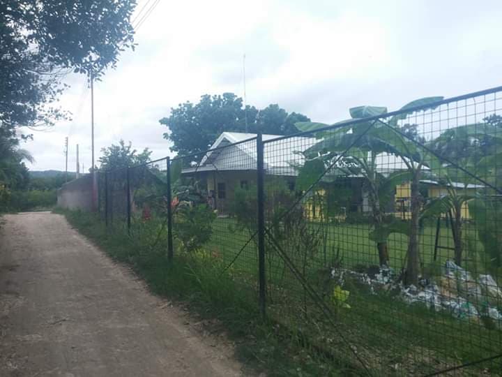 Fully Furnished House and Lot In Can-asujan Car Car Cebu City - photo 3