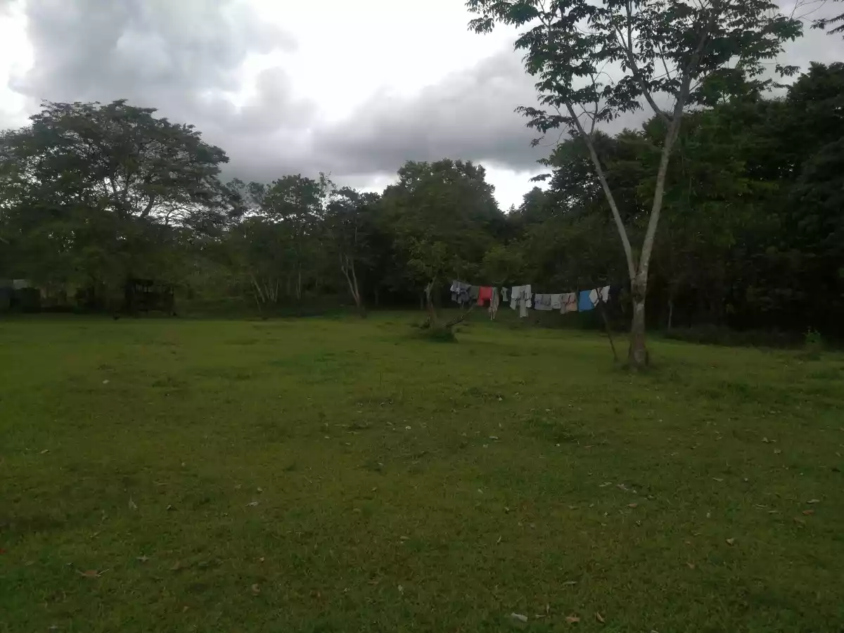400sqm Lot for Sale — Agricultural Lot in Calinan District, Davao City, Davao del Sur — Photo 4