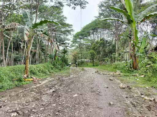 8,815sqm Farmland along the road — Agricultural Lot in Butuan City, Agusan Del Norte, Philippines — Photo 2