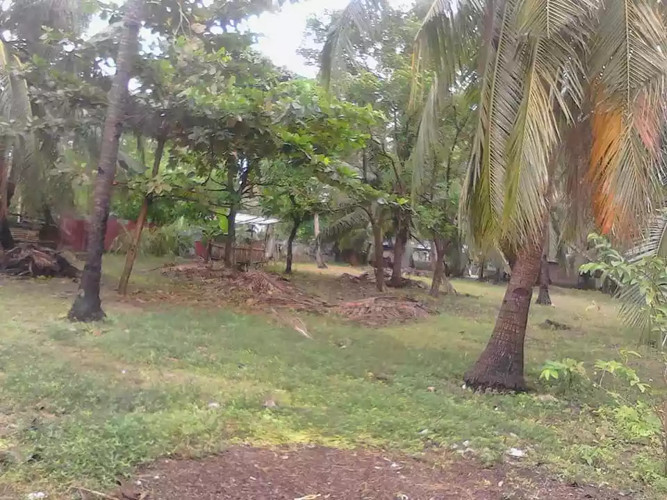 LOT FOR LEASE in Brgy.Talisay, Santa Fe, Bantayan Island, Cebu — Beach Lot in Philippines — Photo 6