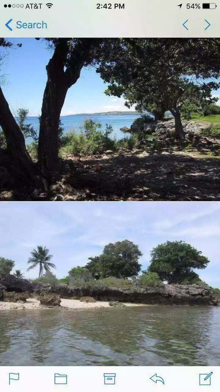 Moalboal Beach Lot for Sale - photo 5