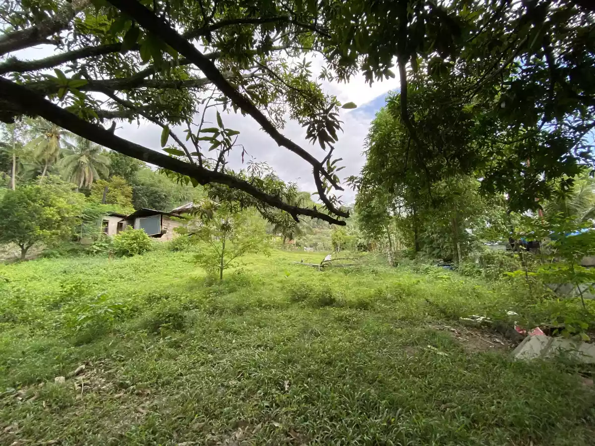 Lot For Sale near Naga-Danao Expressway Cebu