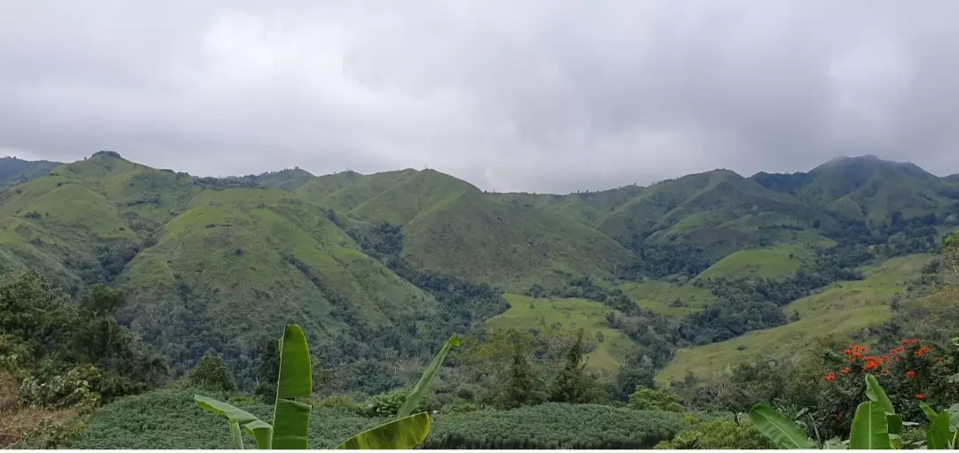 Amazing view! 16 Hectares Land for Sale - photo 6