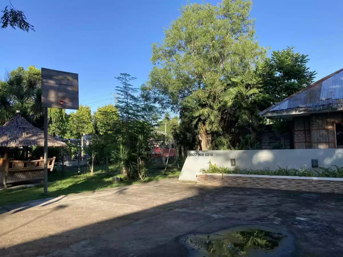 Commercial Lot For Lease Along Dumaguete City National Highway - photo 5