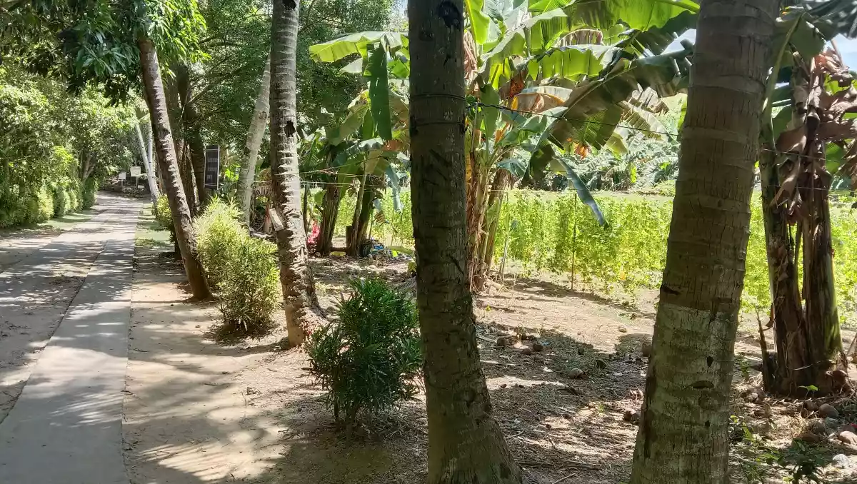Lot for Sale - photo 5