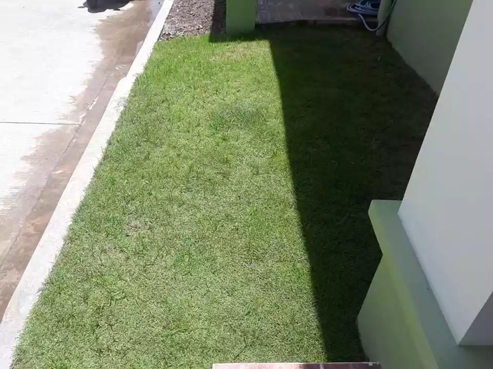 Single Detached One Storey 3-Bedroom in Talisay - photo 6