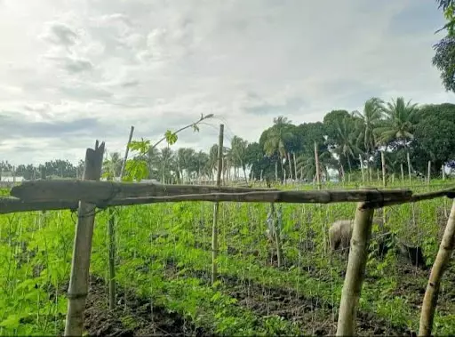 Lot for sale — Residential Lot in General Santos City, 9500 South Cotabato, Philippines — Photo 4