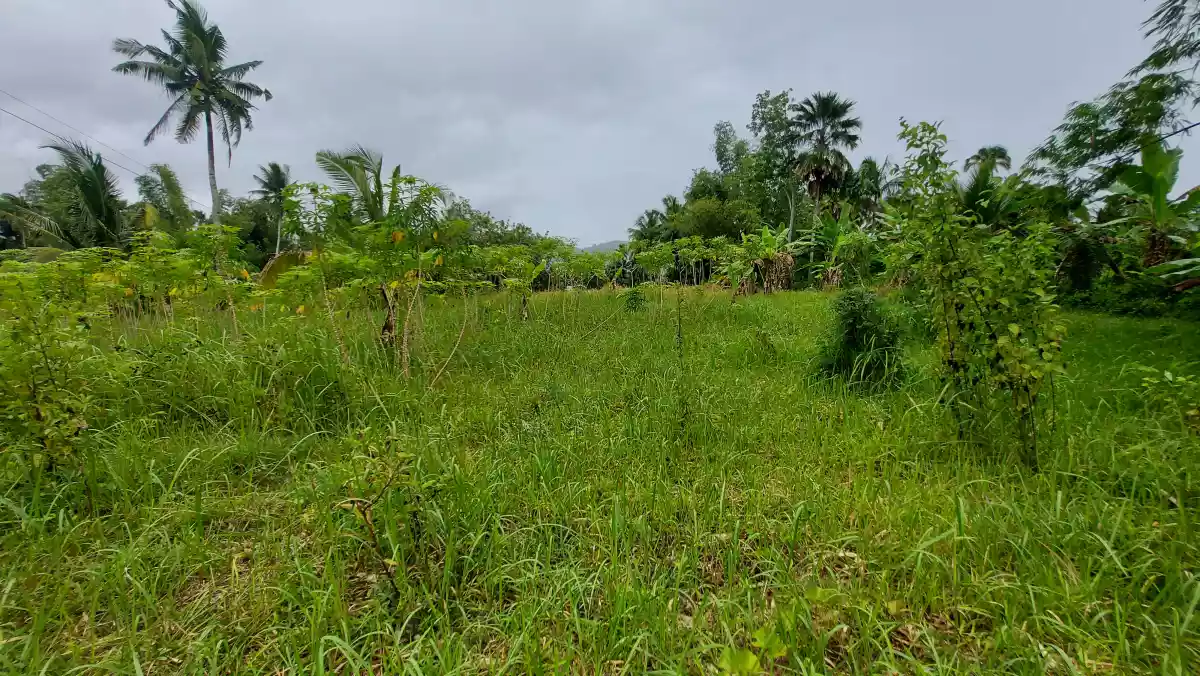Farmlot for sale - photo 3