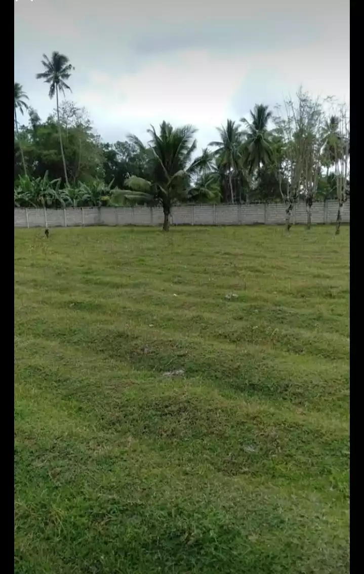 FULLY FENCED LOT FOR LEASE IN BACONG - photo 3